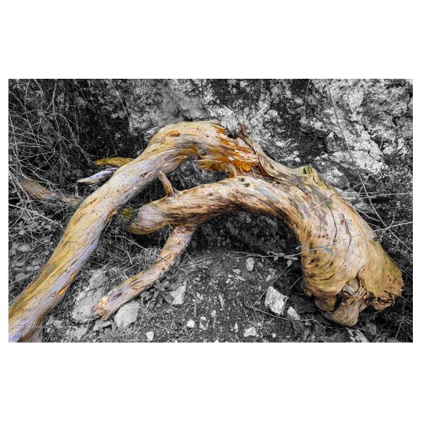 PHOTO84, CLUB, 84 , LUBERON